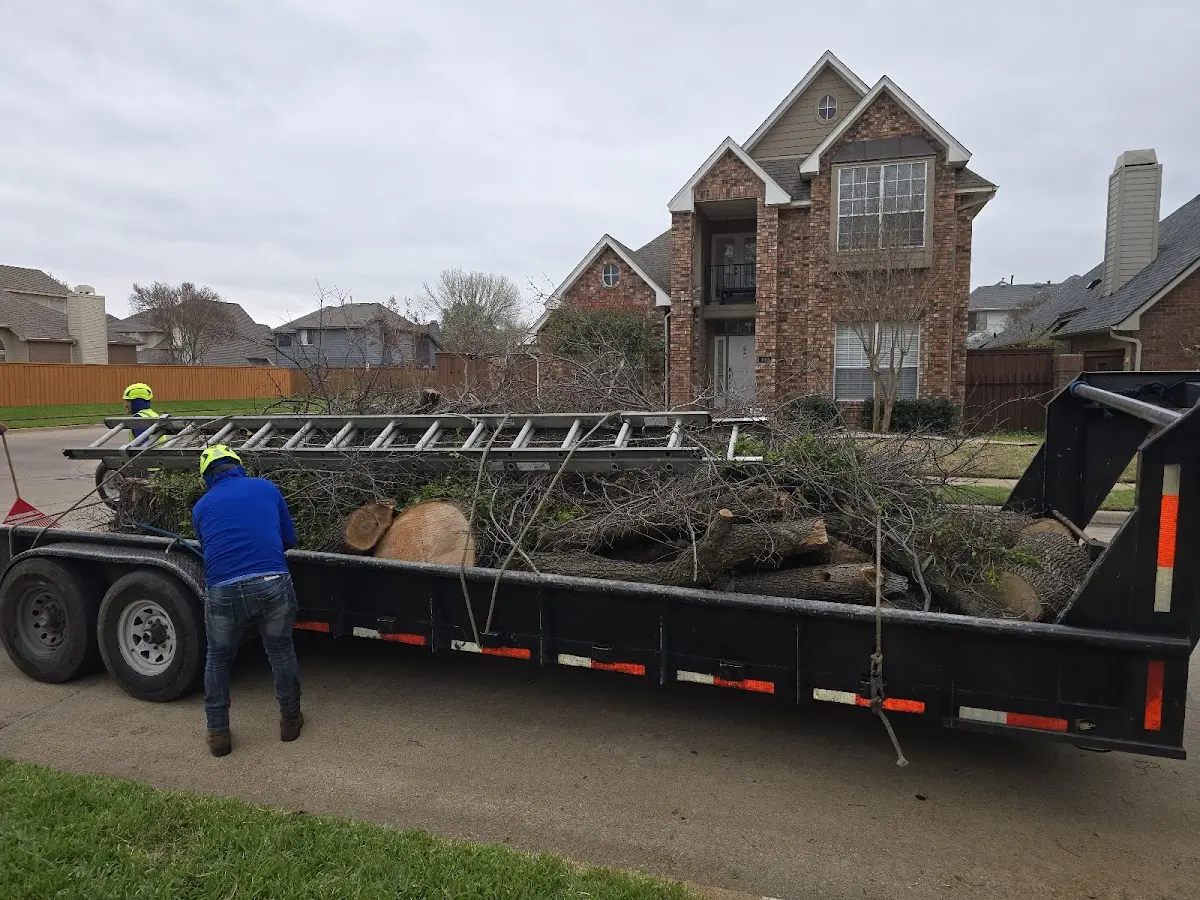Expert Tree Fertilization with proper safety equipment in Kirkland